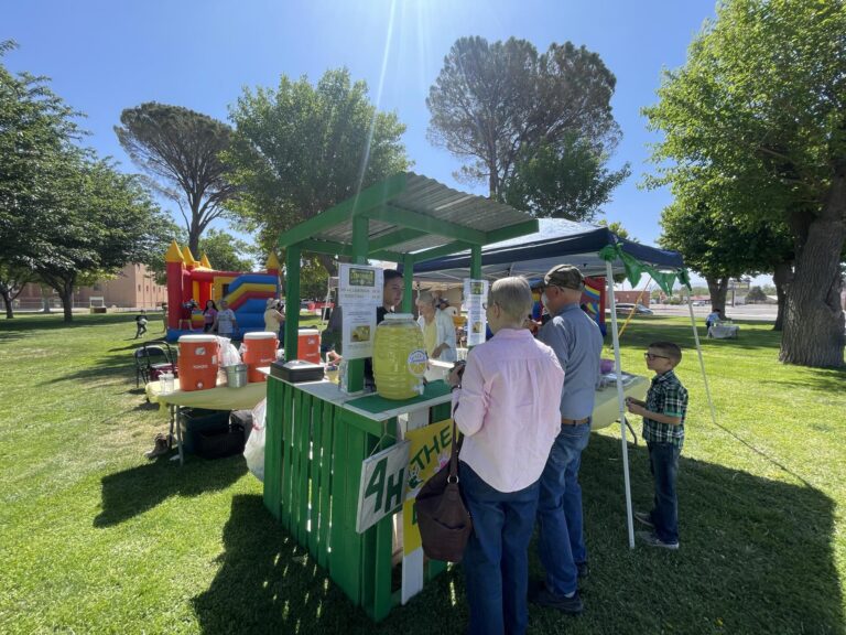 Lemonade Day 2024 in Deming! Deming Country Deming, NM
