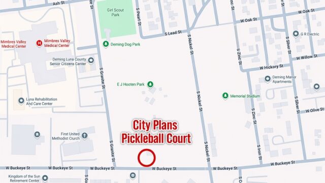 City Plans Pickleball Court