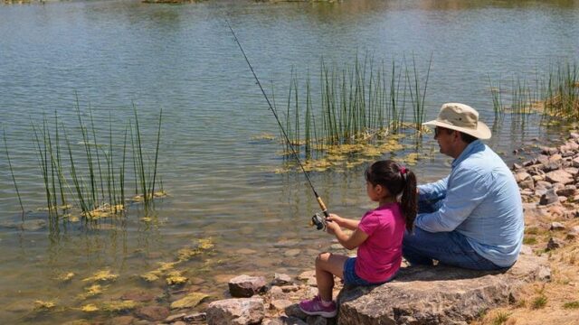 Fishing at Deming's Trees Lake